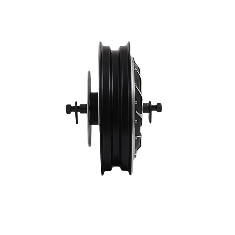 Motor de rueda de cubo eléctri - Qs Motor 273 8000W Hub Motor reseña y precio