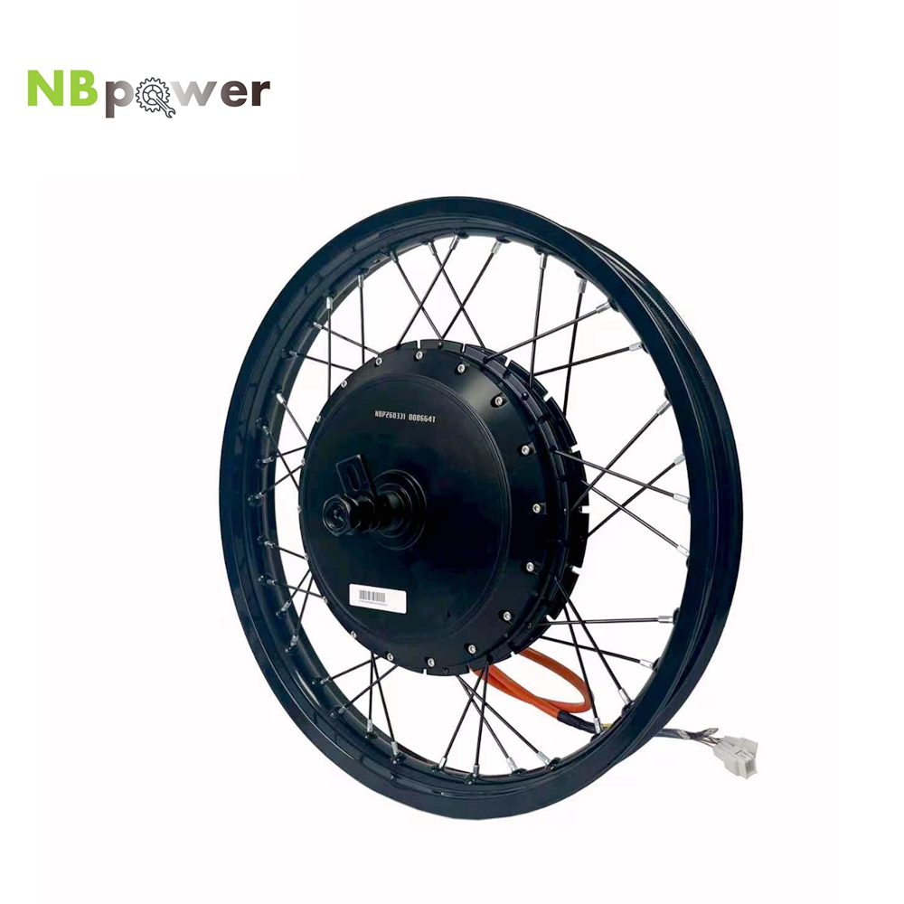 NBpower/170mm Dropout QS 273 4 - Qs Motor 273 8000W Hub Motor reseña y precio