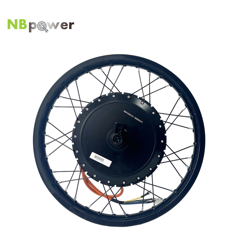 NBpower/170mm Dropout QS 273 4 - Qs Motor 273 8000W Hub Motor reseña y precio