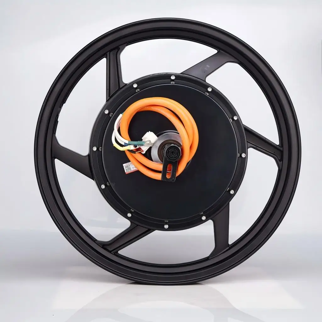 Motor de buje de alto rendimie - Ev Electric Motor Conversion Kit Car reseña y precio